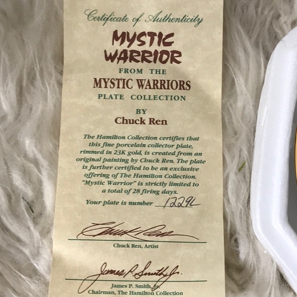 NEW 1992 The Hamilton Collection Mystic Warrior Collector's plate COA numbered - Picture 6 of 7